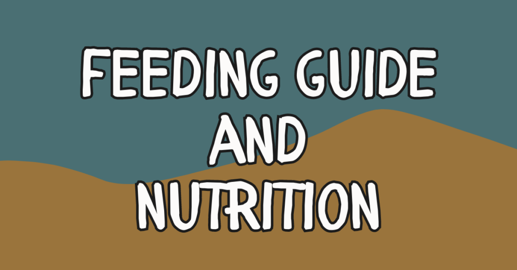 Bearded Dragon Feeding Guide: Nutrition Tips: Nutrition Advice