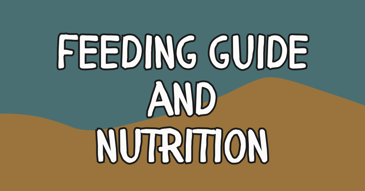 Bearded Dragon Feeding Guide: Nutrition Tips