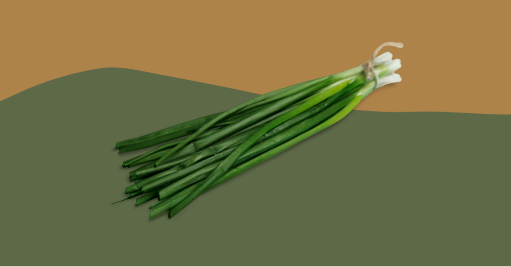 Can Bearded Dragons Eat Chives? (Updated)