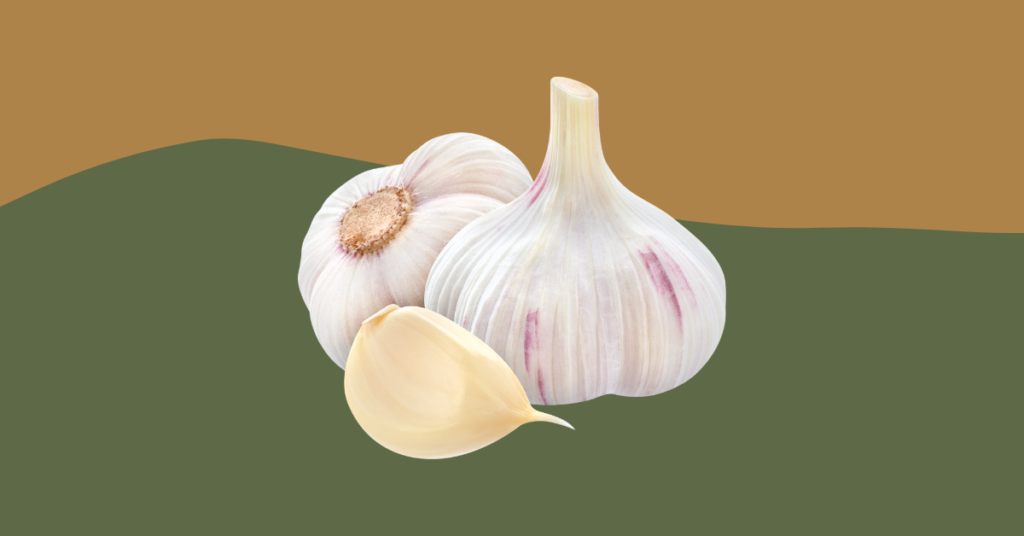 Can Bearded Dragons Eat Garlic? (Updated)