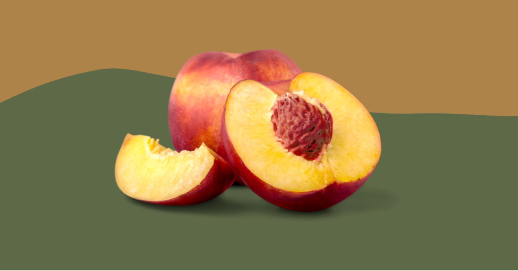 Can Bearded Dragons Eat Nectarines? (Updated)