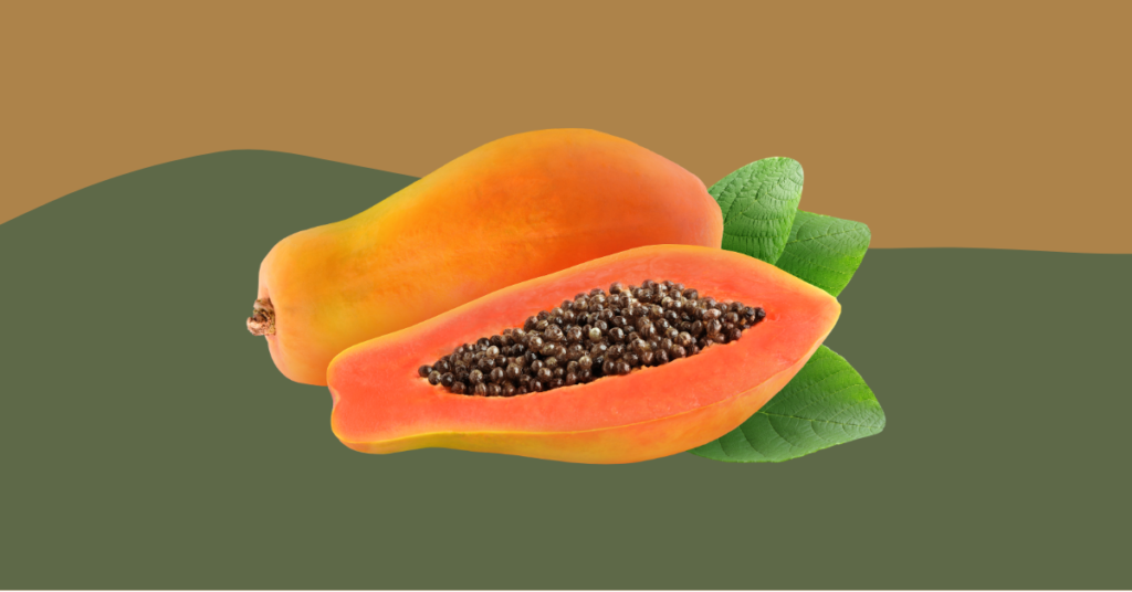 Can Bearded Dragons Eat Papaya? (Updated)