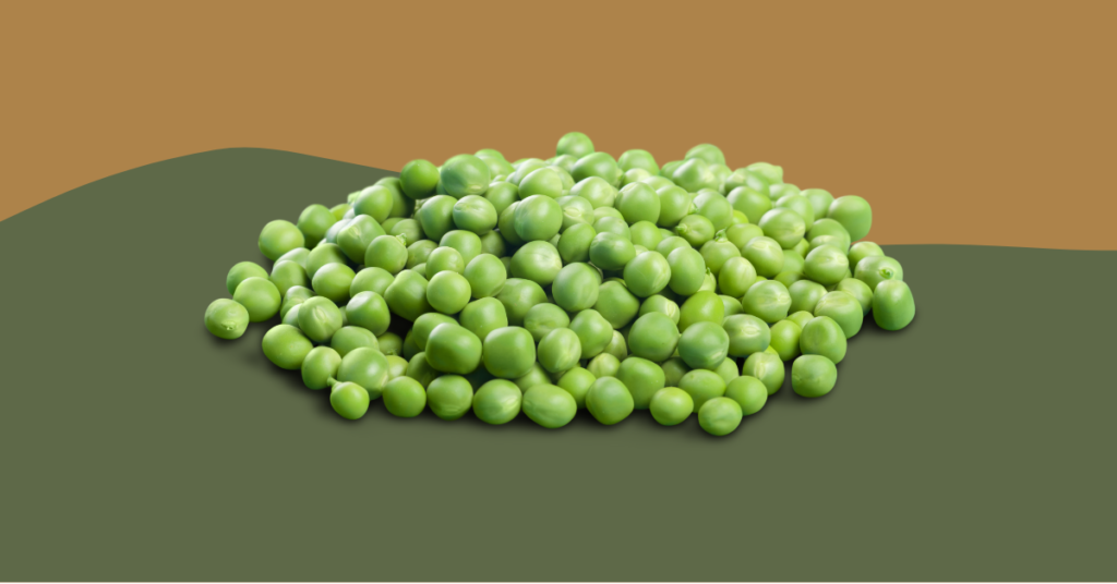 Can Bearded Dragons Eat Peas? (Updated)