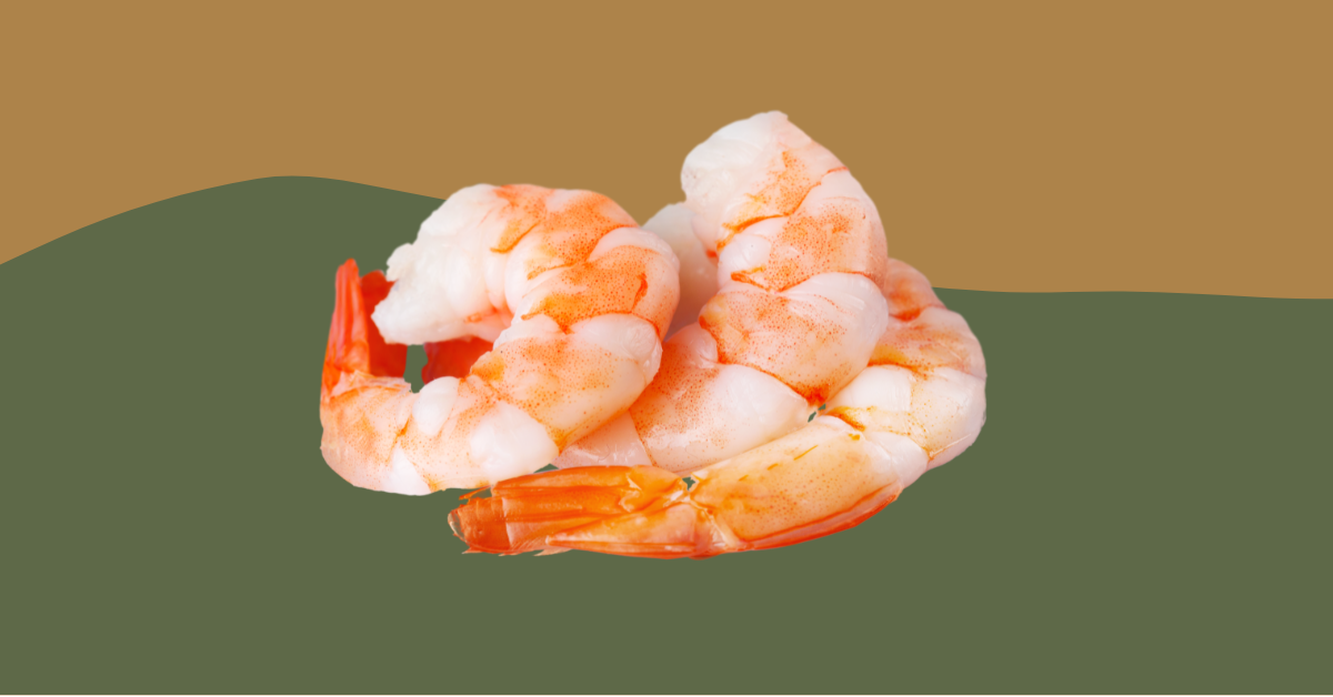 Can Bearded Dragons Eat Shrimp?